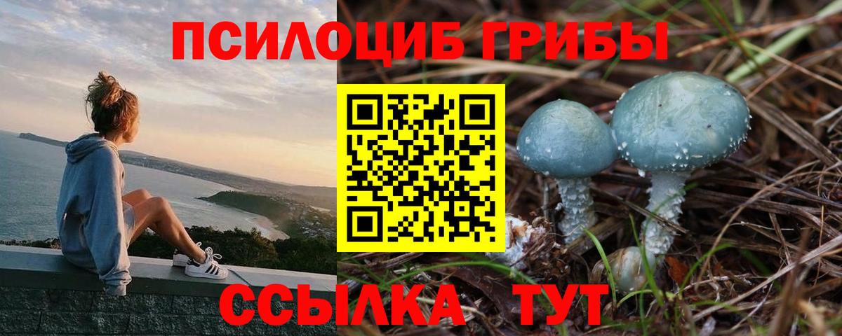 Псилоцибиновые грибы MAGIC MUSHROOMS  Вход с VPN  Всеволожск 
